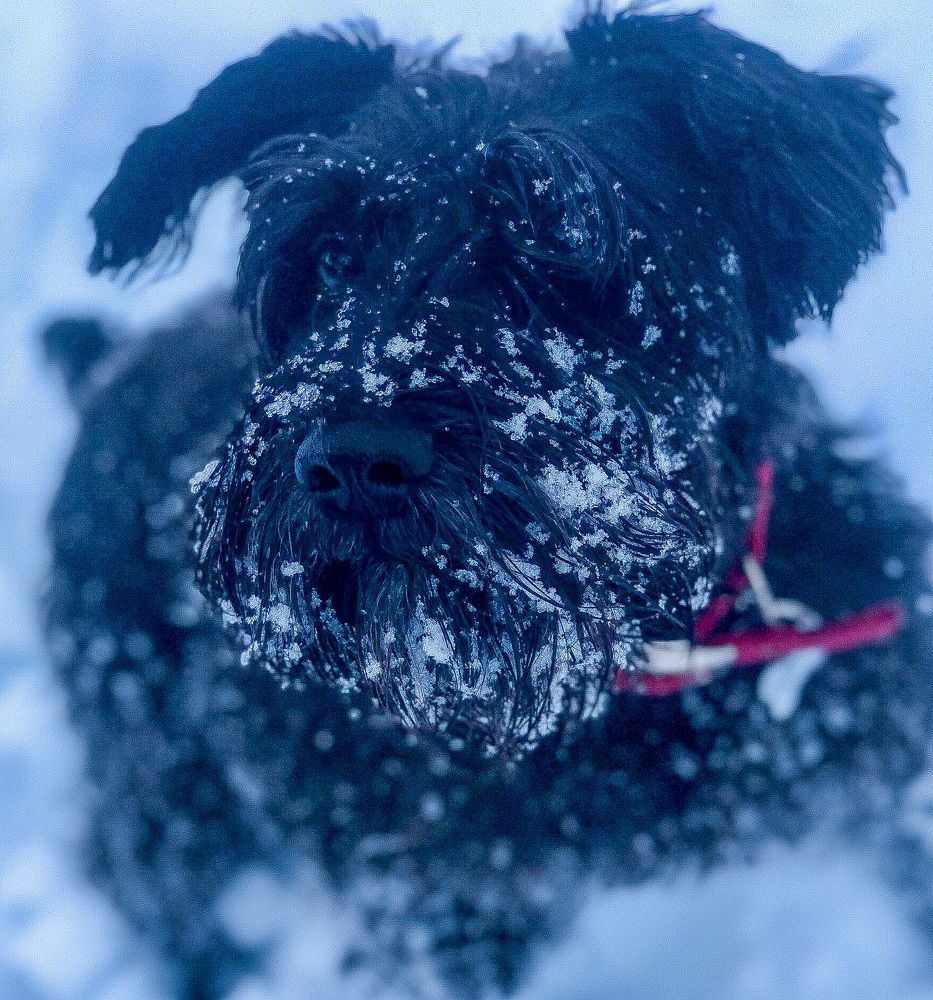 Photograph by Javier Subiza Garrido-Lestache