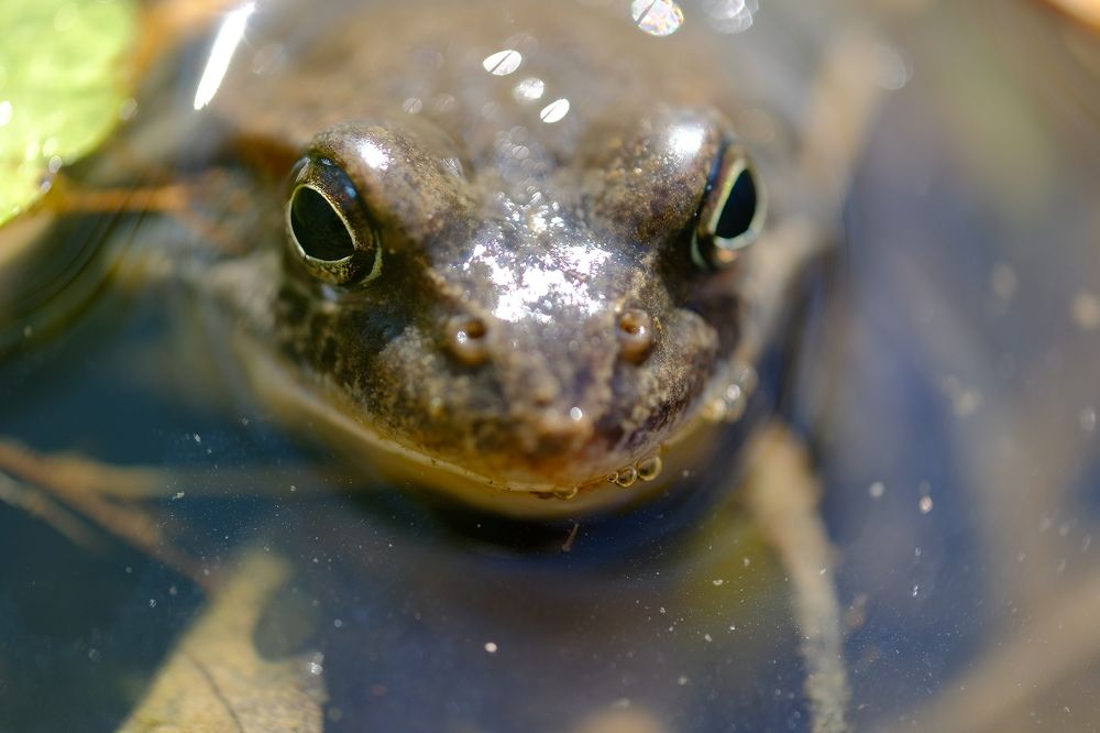 Photograph by Владимир Кирсанов