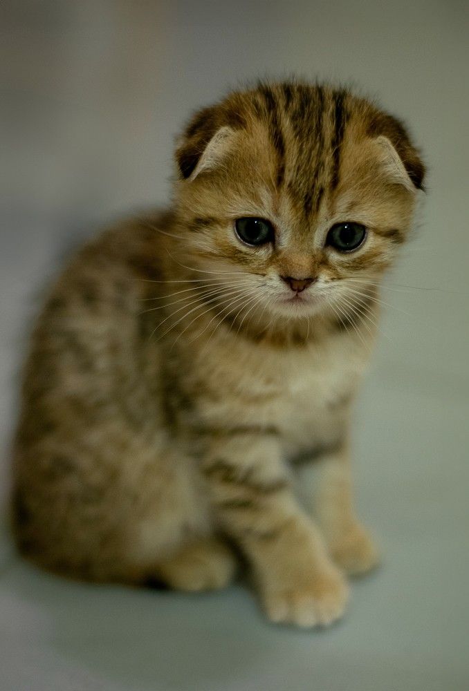 Photograph by Татьяна Мыгакова