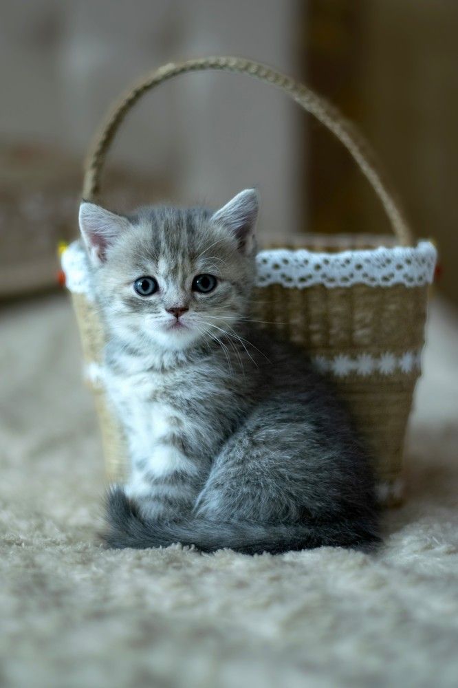 Photograph by Татьяна Мыгакова