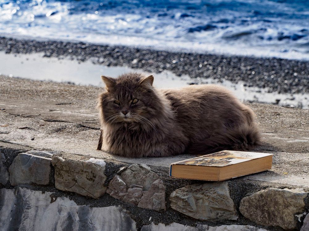 Photograph by Борис