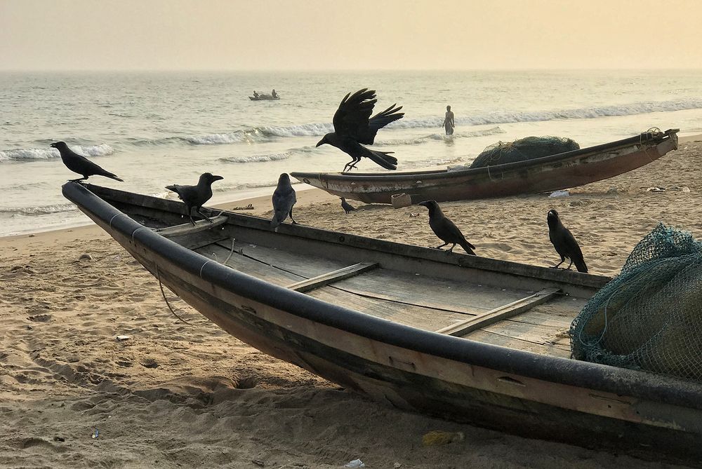 Photograph by Kaushik Dolui