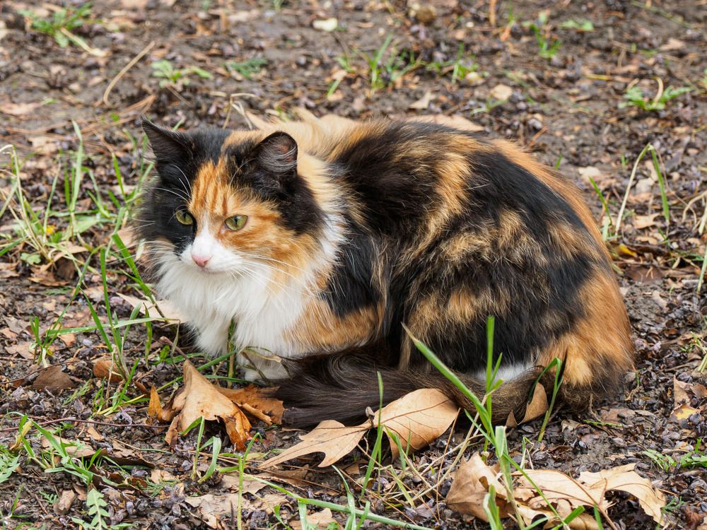 Photograph by Борис