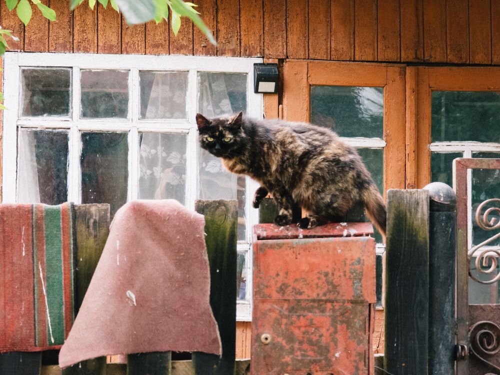 Photograph by Vitaliy