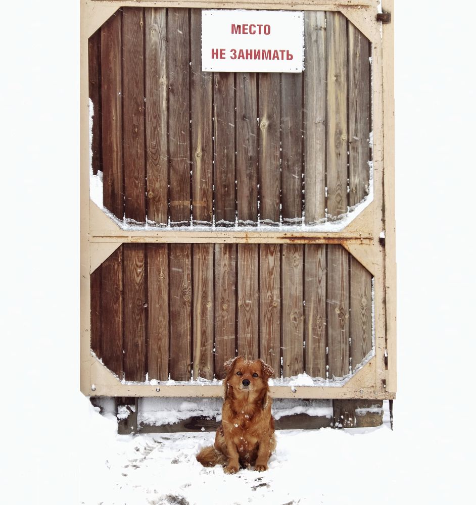 Photograph by Данил Макаренко