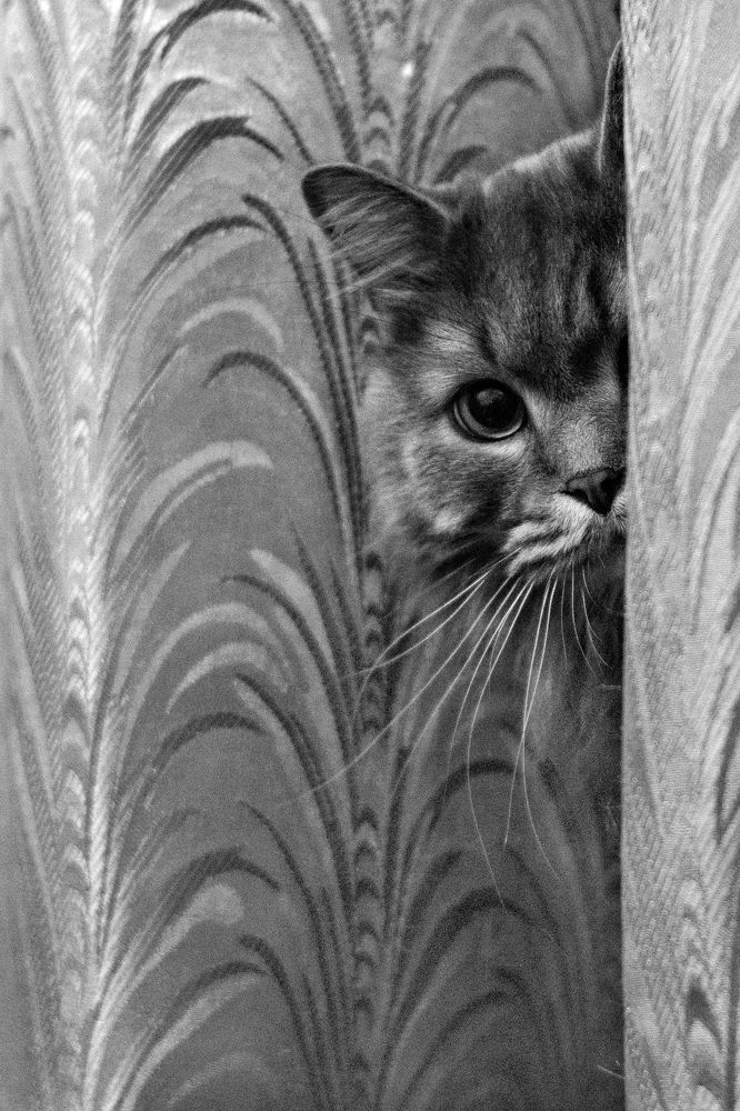 Photograph by Sergey Tyasto