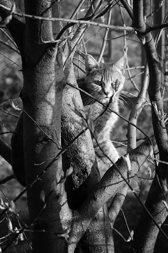 Photograph by Sergey Tyasto