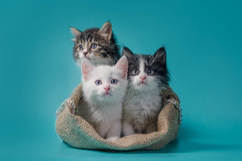 Photograph by Гера Восьмая