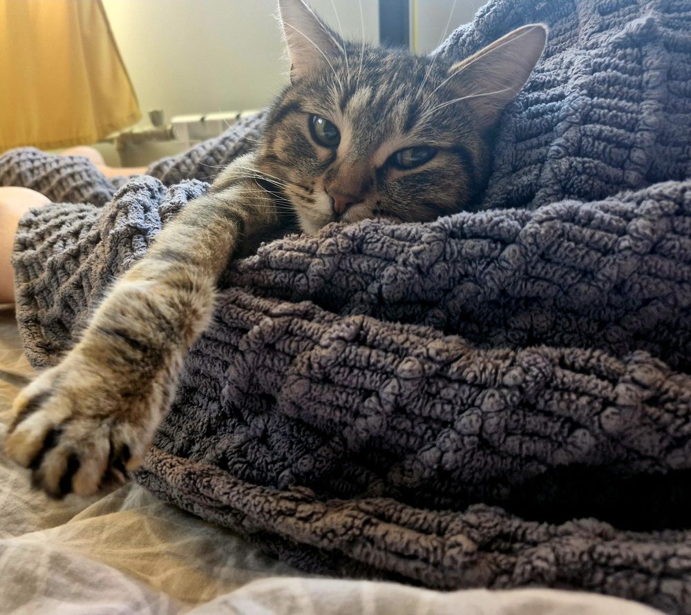 Photograph by Igor Chechin