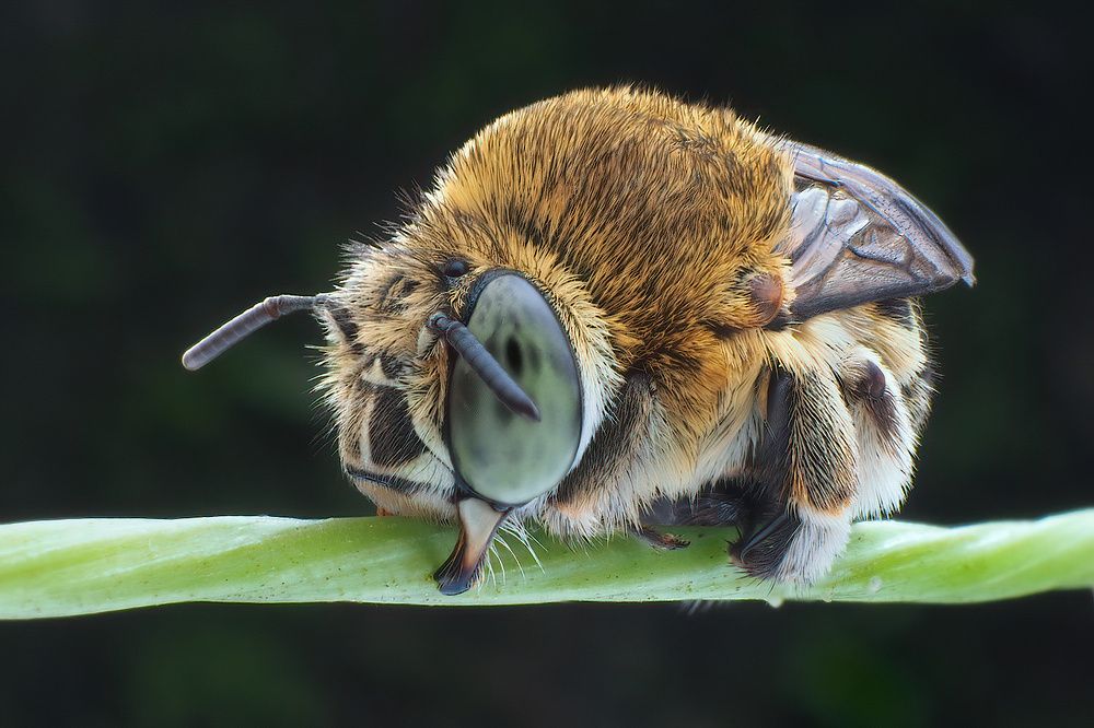 Photograph by Li Chen-You