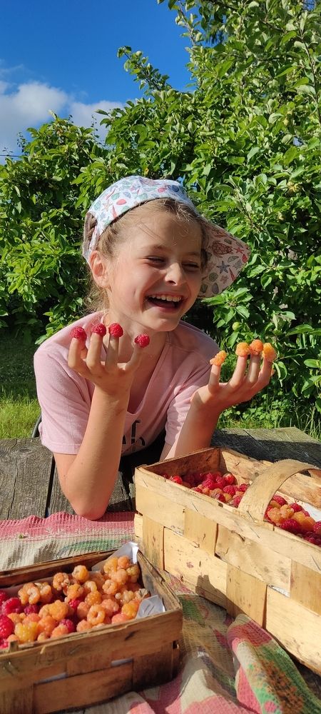 Photograph by Олена Бокова