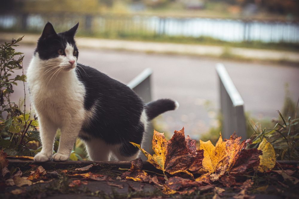 Photograph by Сергей Зимин