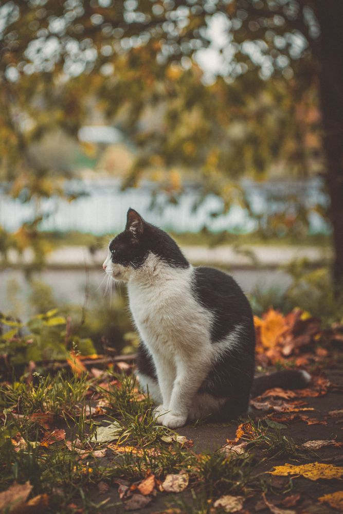 Photograph by Сергей Зимин