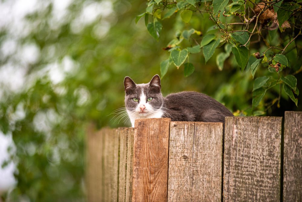 Photograph by Сергей Зимин