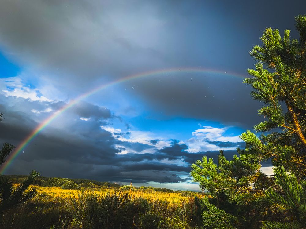 Фотография автора Дмитрий Мясников