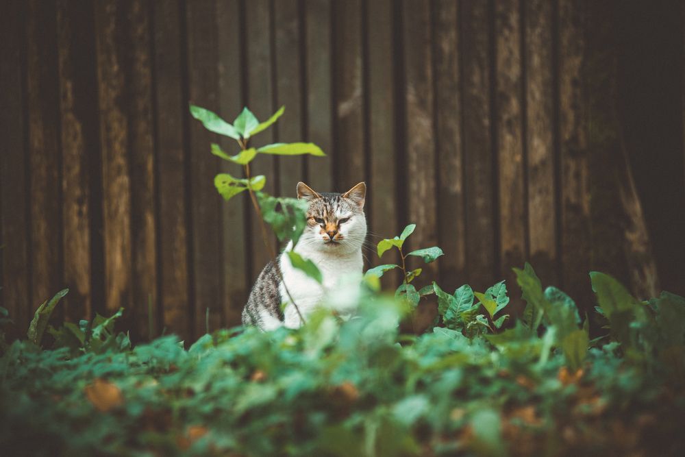 Photograph by Сергей Зимин