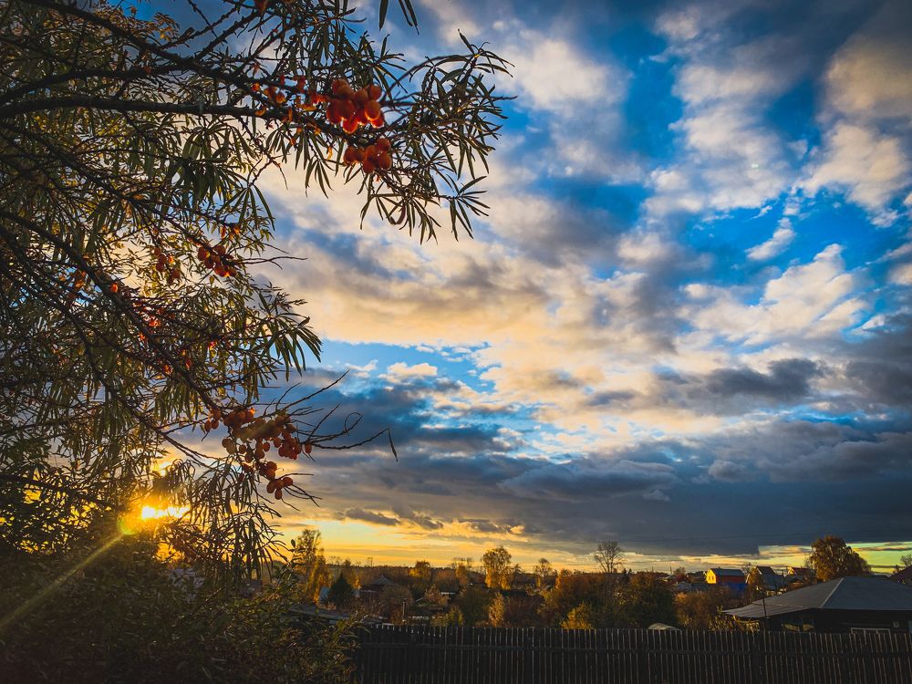 Фотография автора Дмитрий Мясников