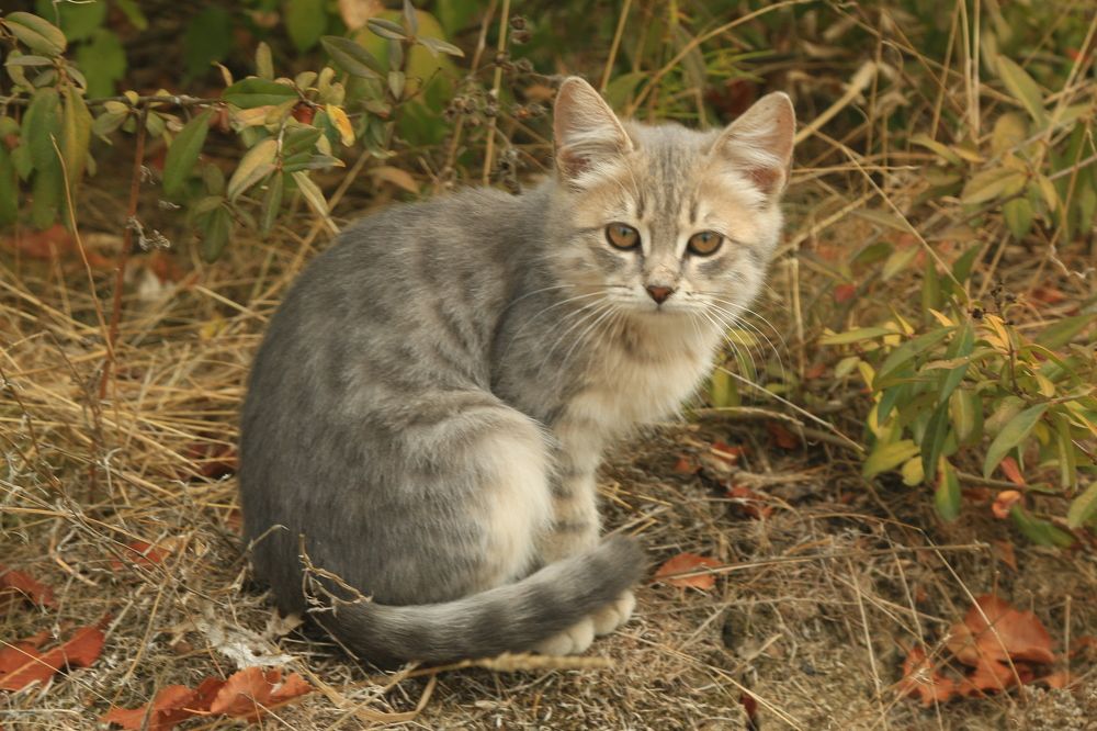 Фотография автора Сергей Кульков