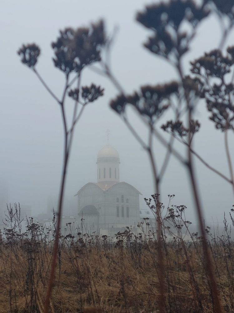 Photograph by Olga Min