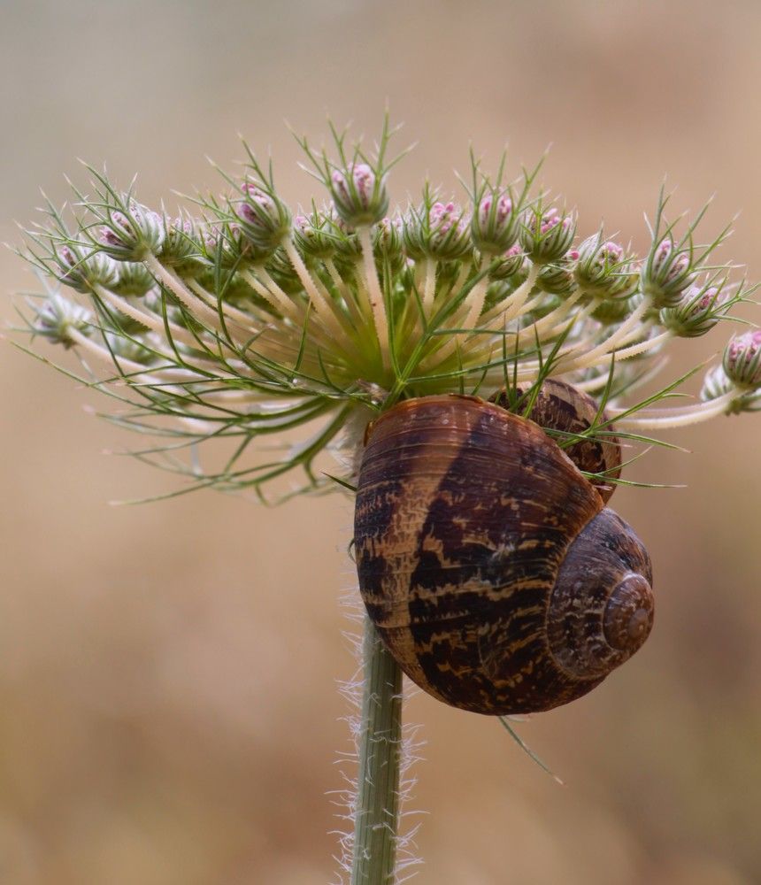 Photograph by Людмила Бутова