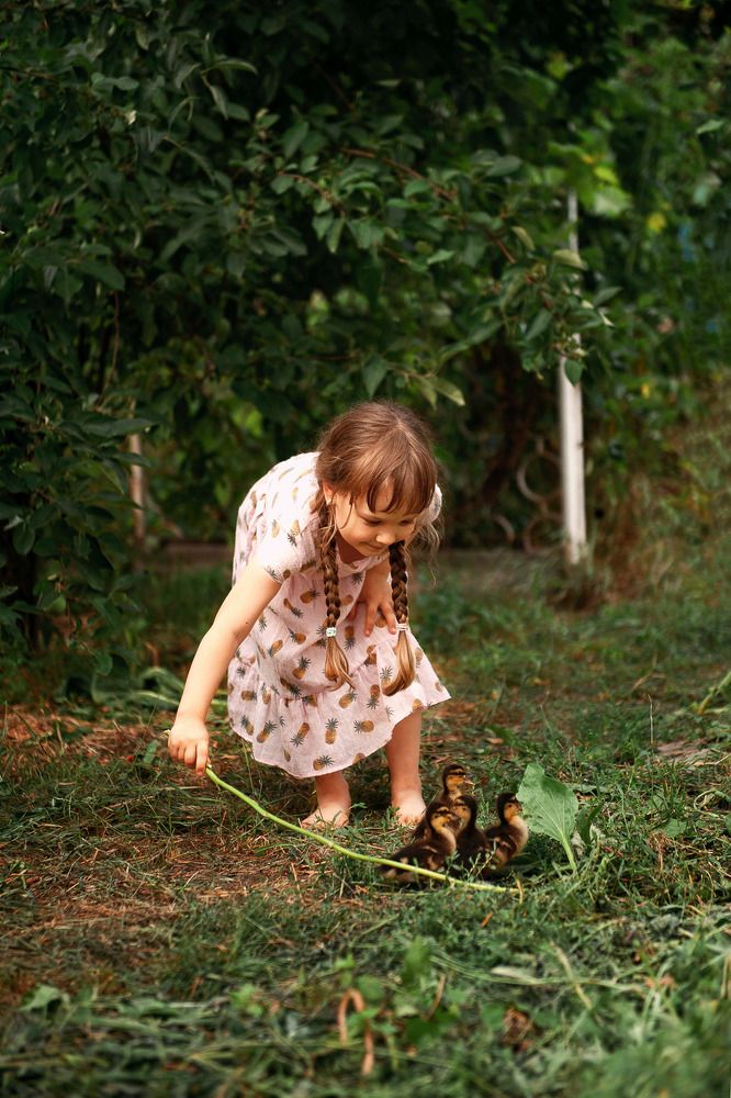 Фотография автора Елена Ефименко