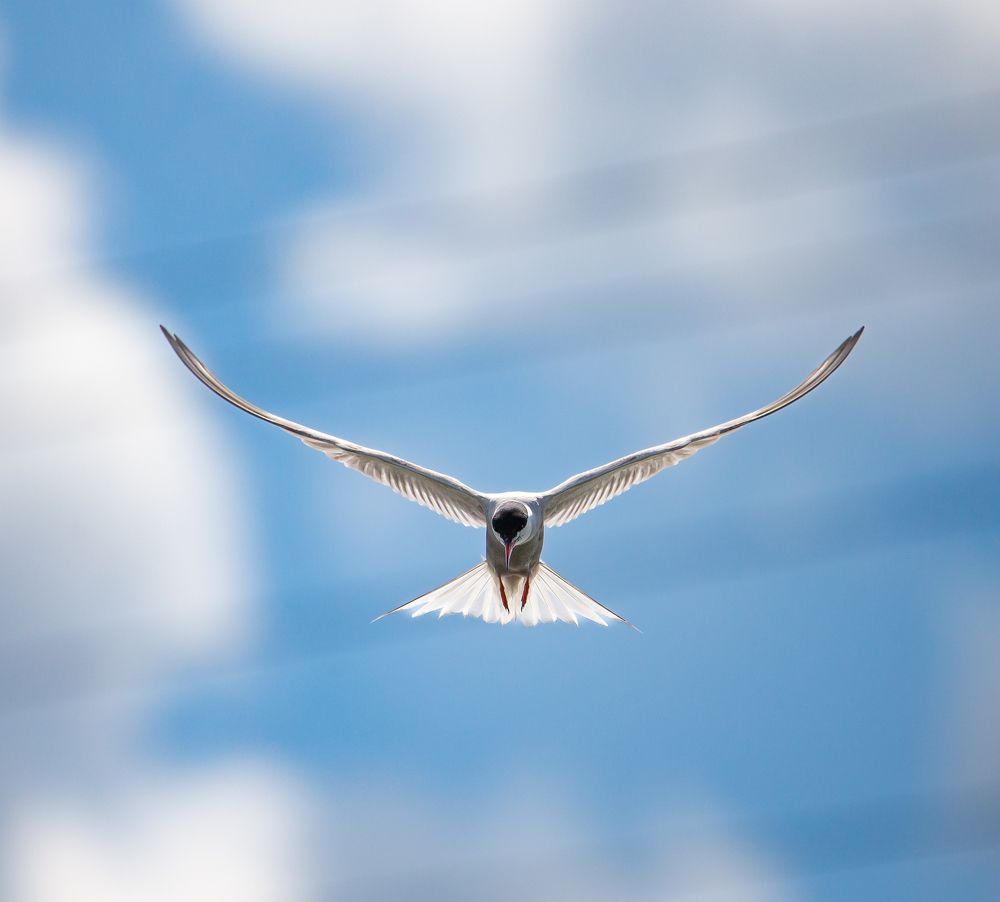 Photograph by Марина