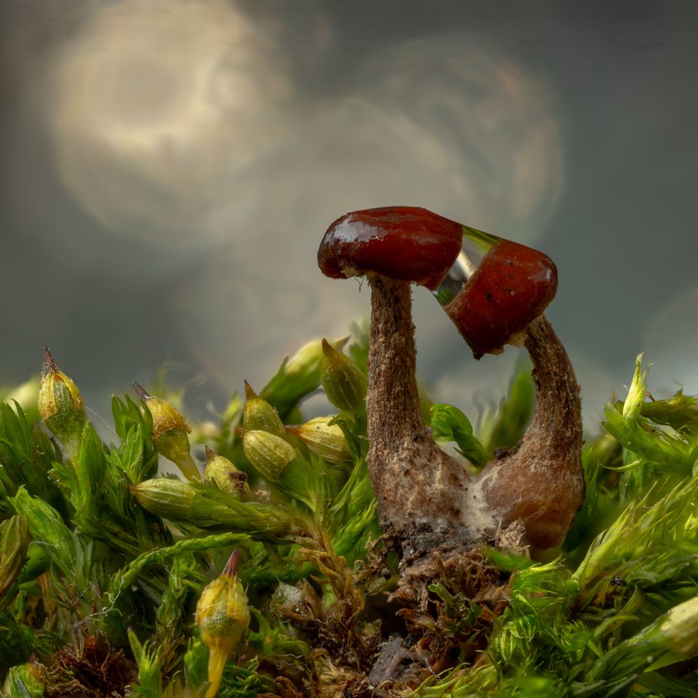 Photograph by Павел Олту