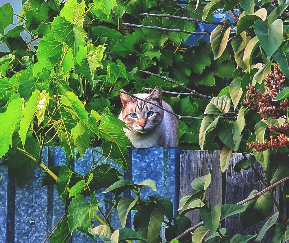 Photograph by Ольга Веселова