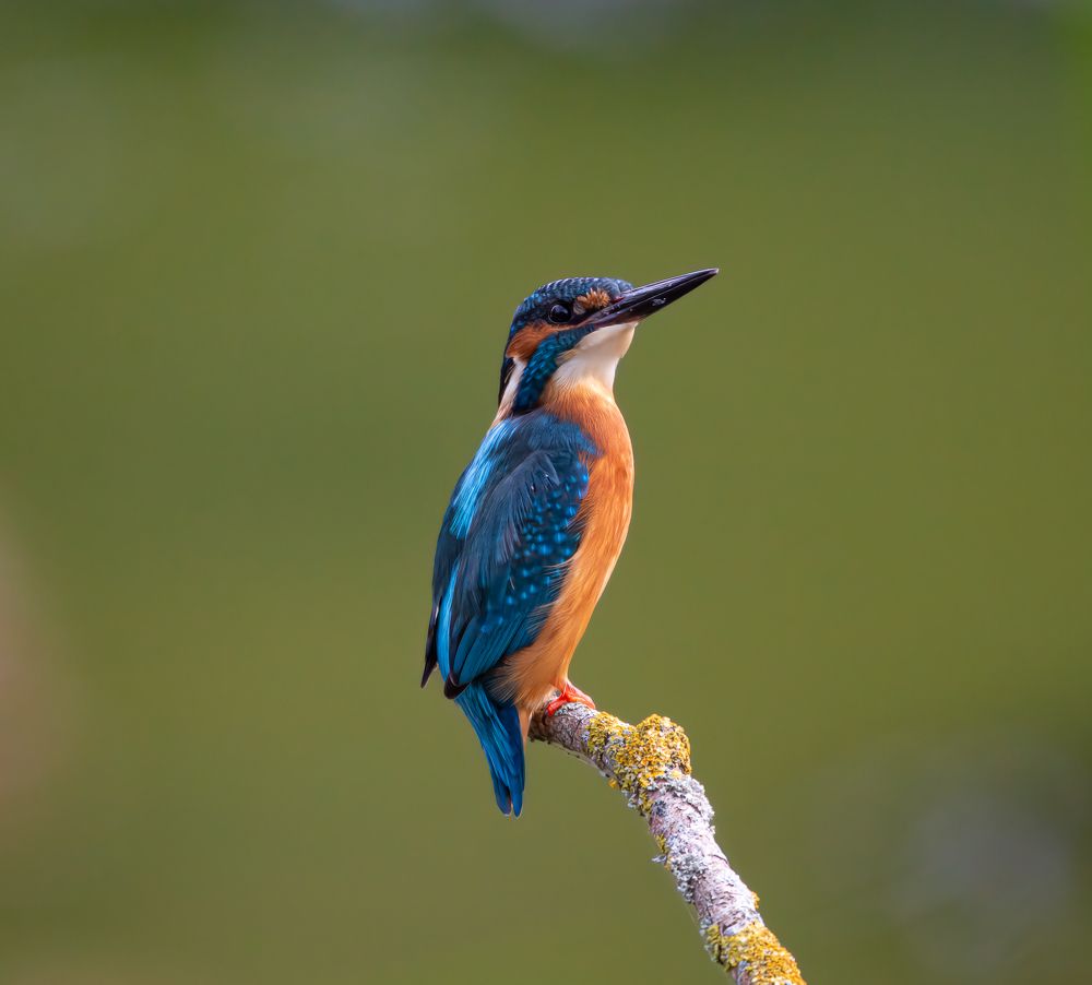 Photograph by Марина