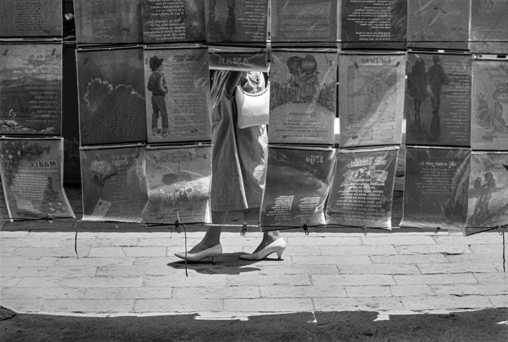 Photograph by gustavo gatto