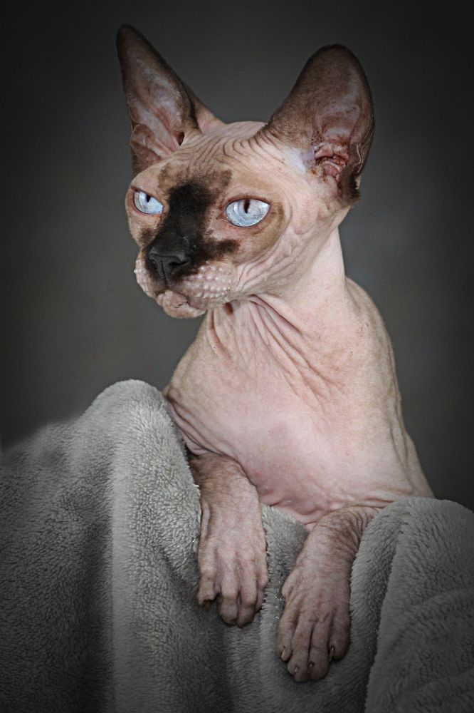 Photograph by Эдуард Попов