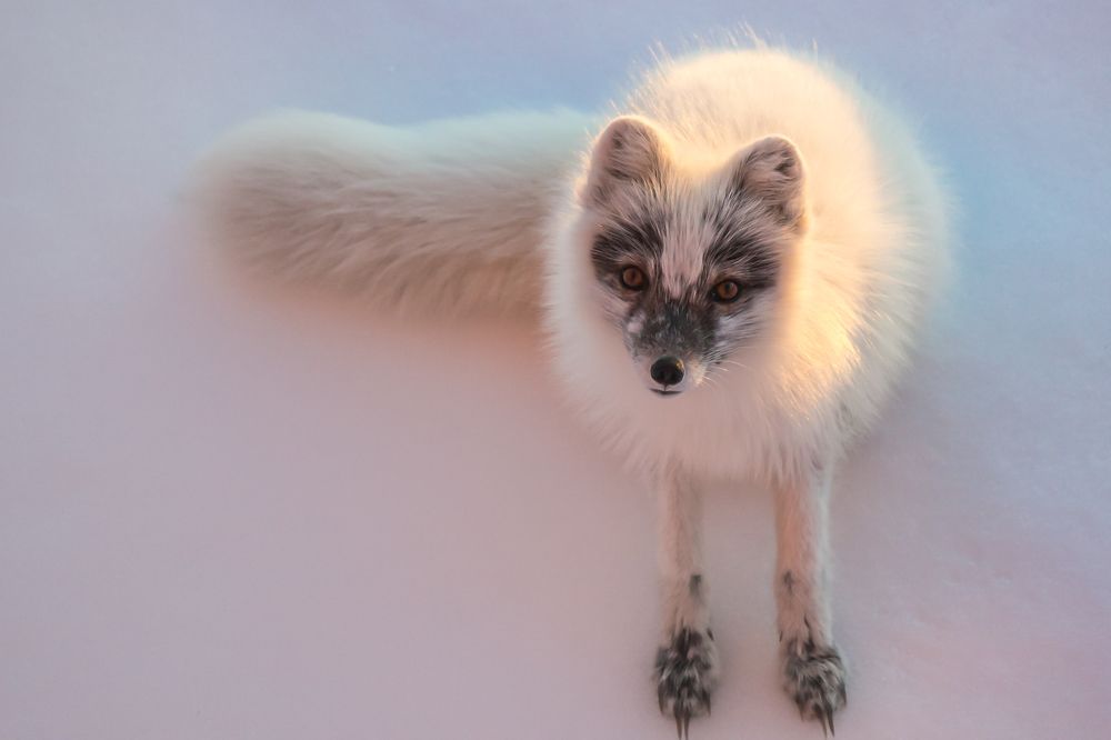 Фотография автора Konstantin Shendel