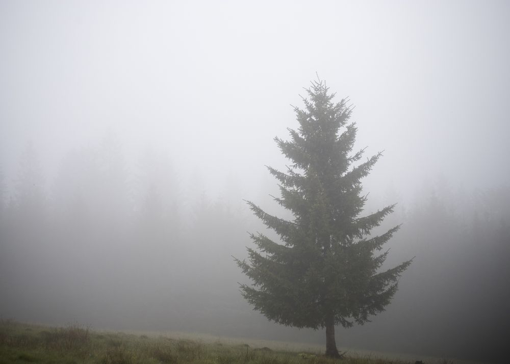 Фотография автора Uljana Kuchar