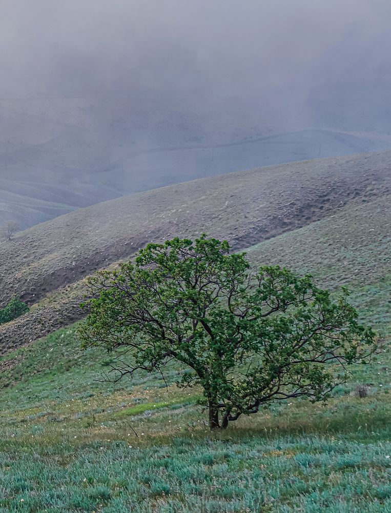 Photograph by Евгений Гонтов