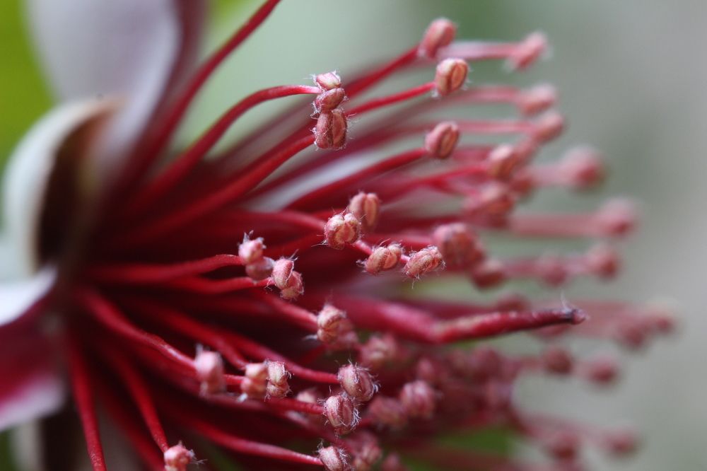 Photograph by Николай Усиков