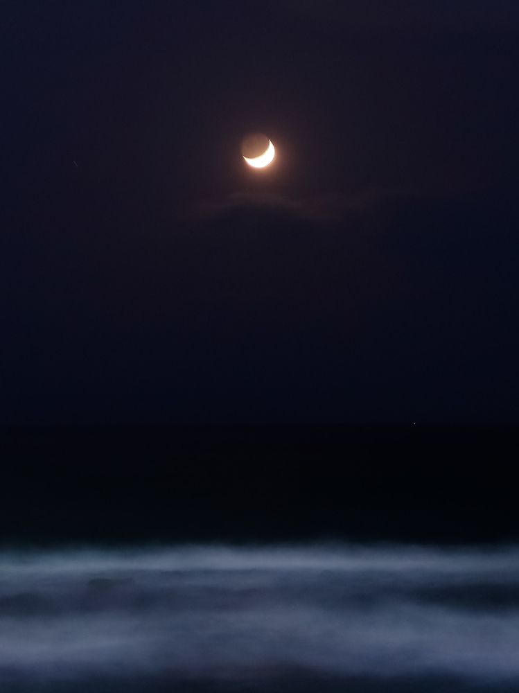 Photograph by ASHRAF FATHY BAKRY