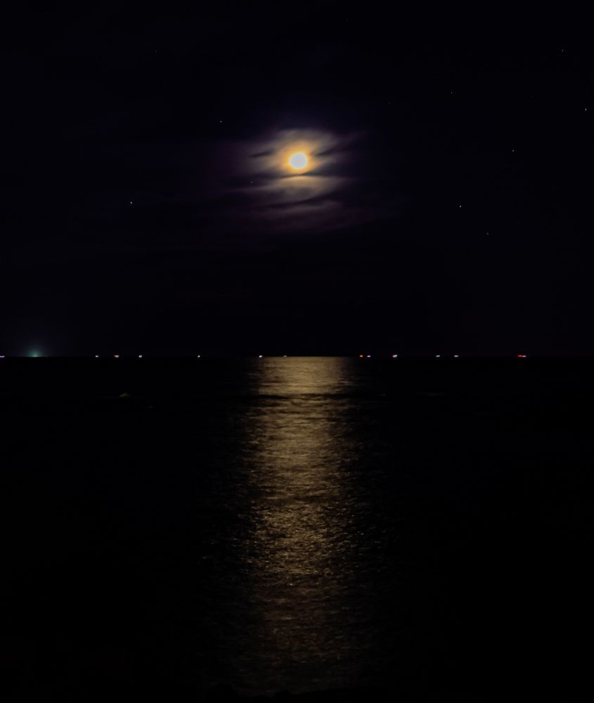 Photograph by ASHRAF FATHY BAKRY