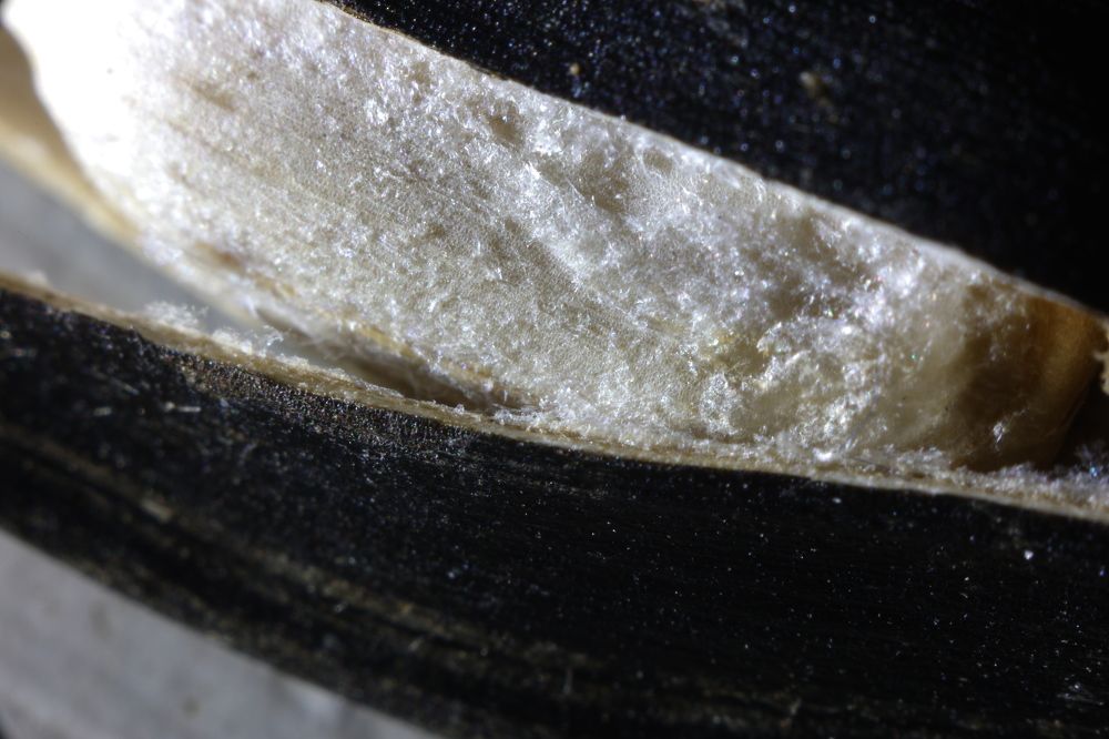 Photograph by Николай Усиков