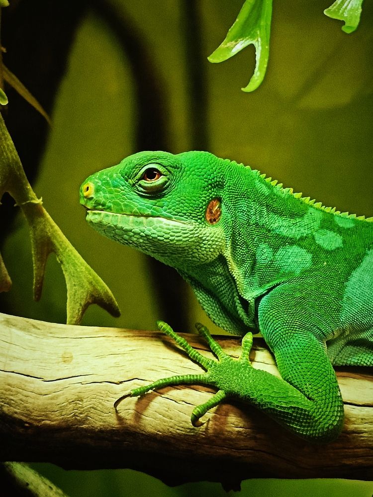 Photograph by Кирилл Леднев