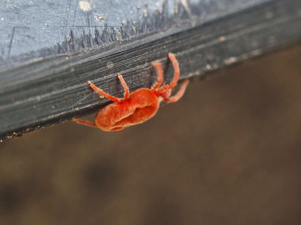 Photograph by Николай Усиков