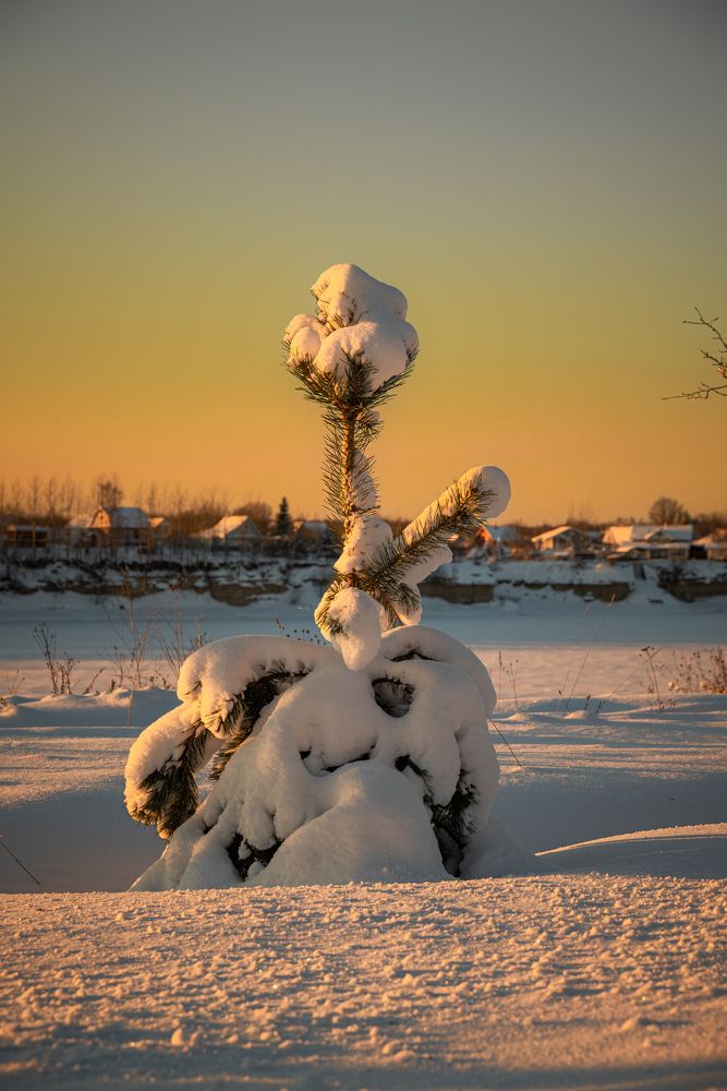 Photograph by Сергей Зимин