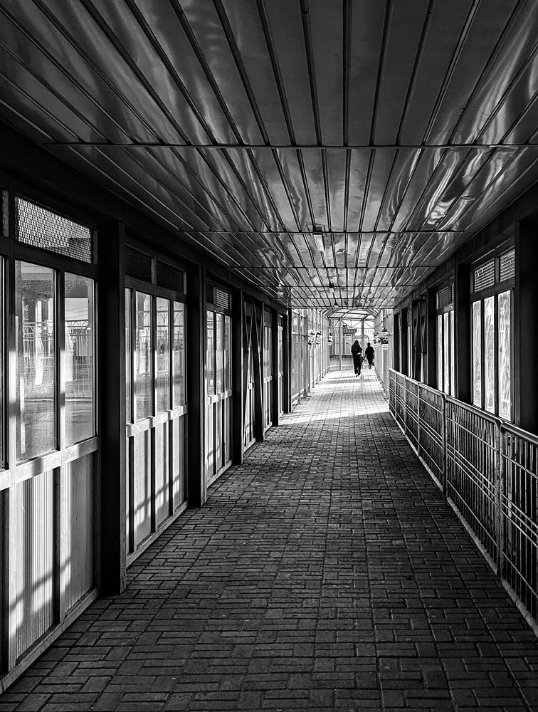 Photograph by Орынбек Асилбаев