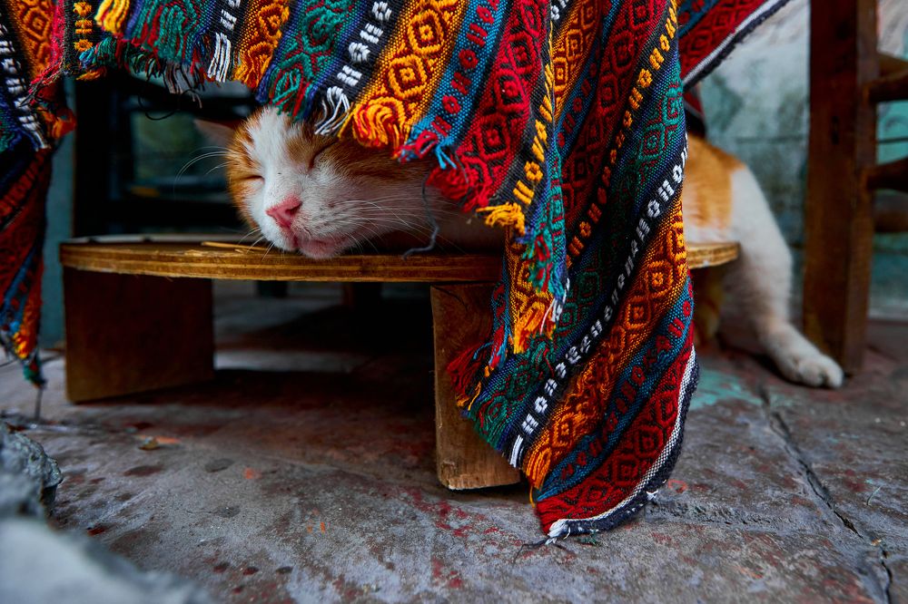 Photograph by Владислав Данилов