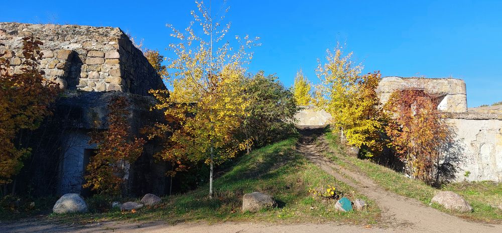 Photograph by Светлана Сипрова