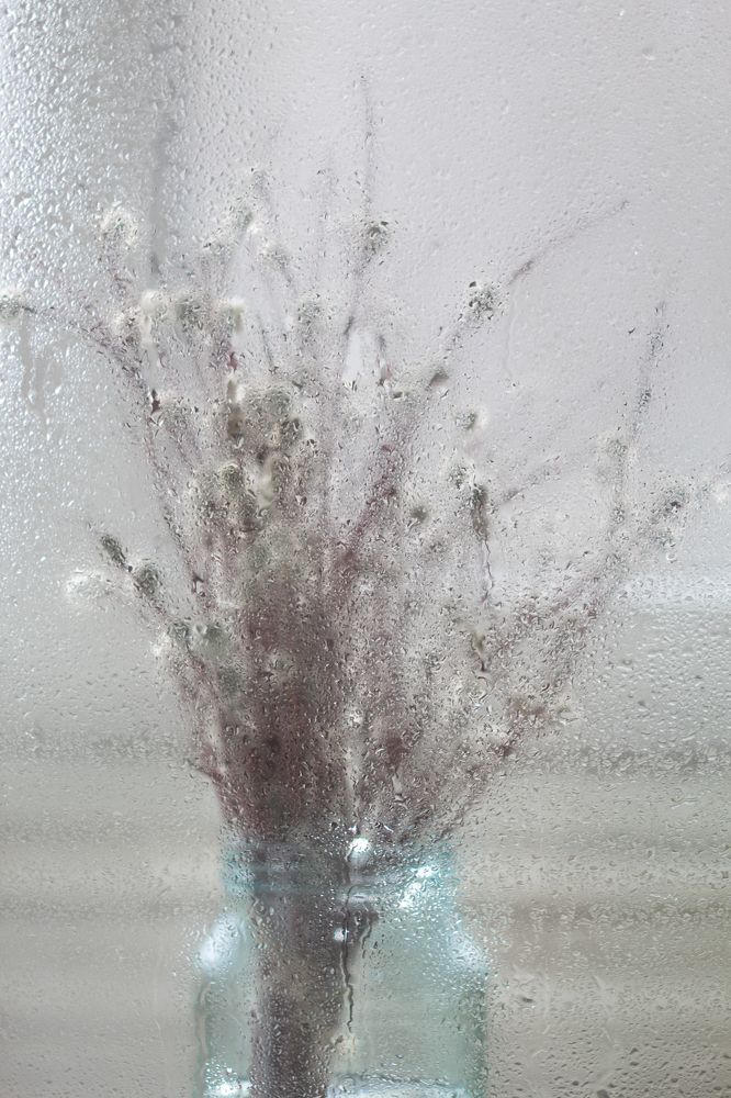 Фотография автора Дарина Фельдман