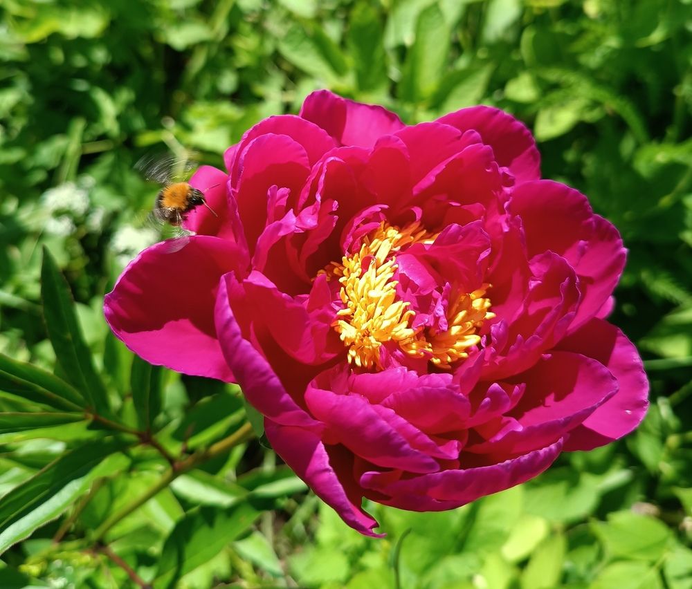 Photograph by Olga Kot