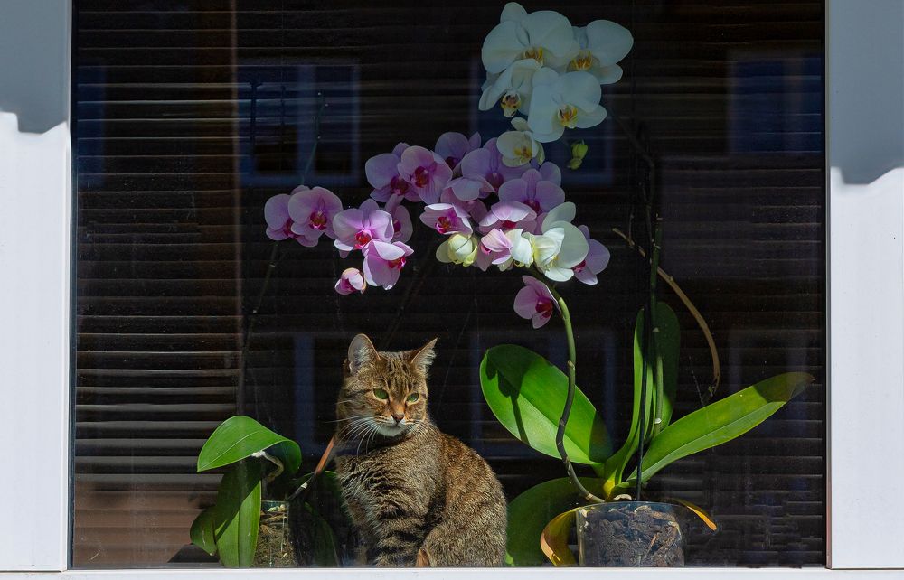 Photograph by yuri kutukov