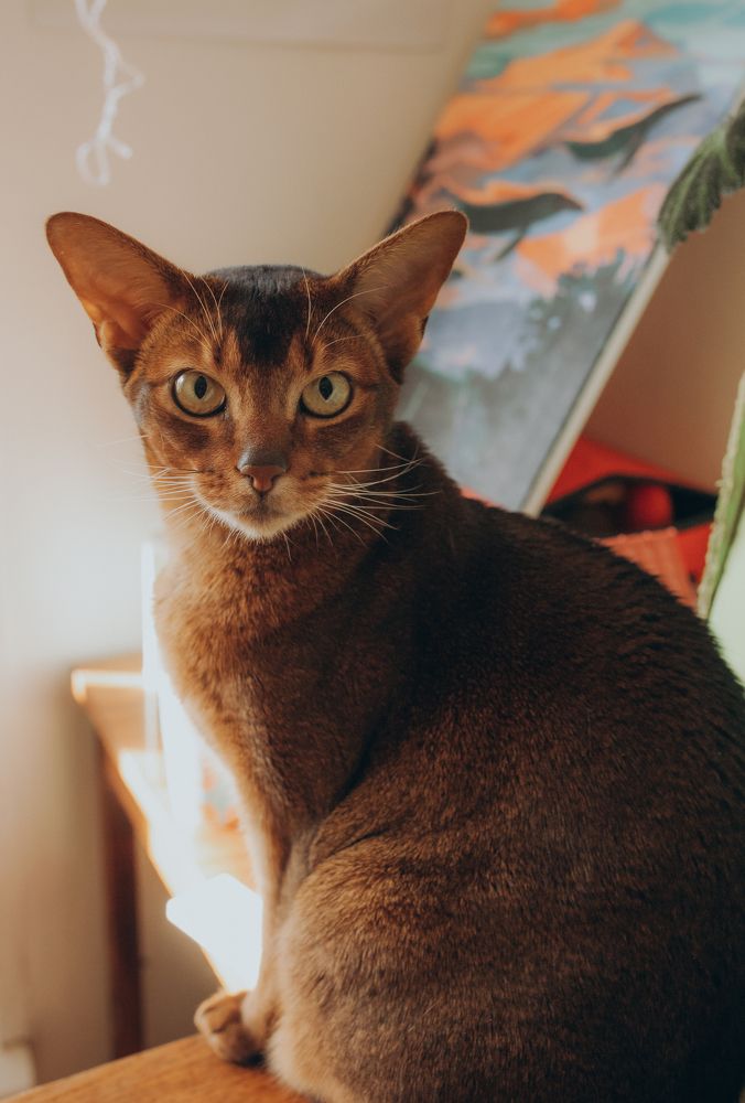 Photograph by Виктория Трач