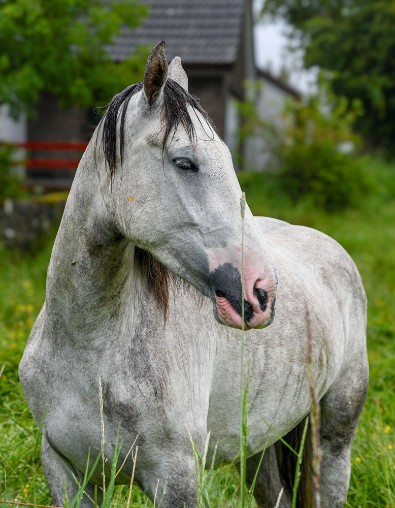 Photograph by Bohatyrov Yuri