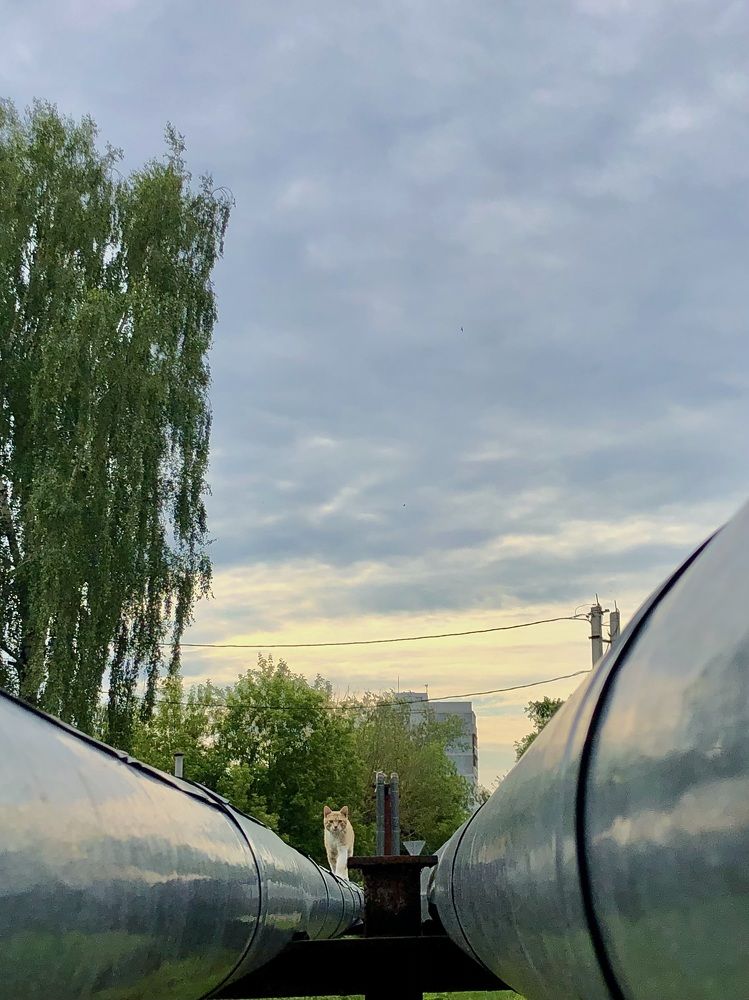 Photograph by Александр